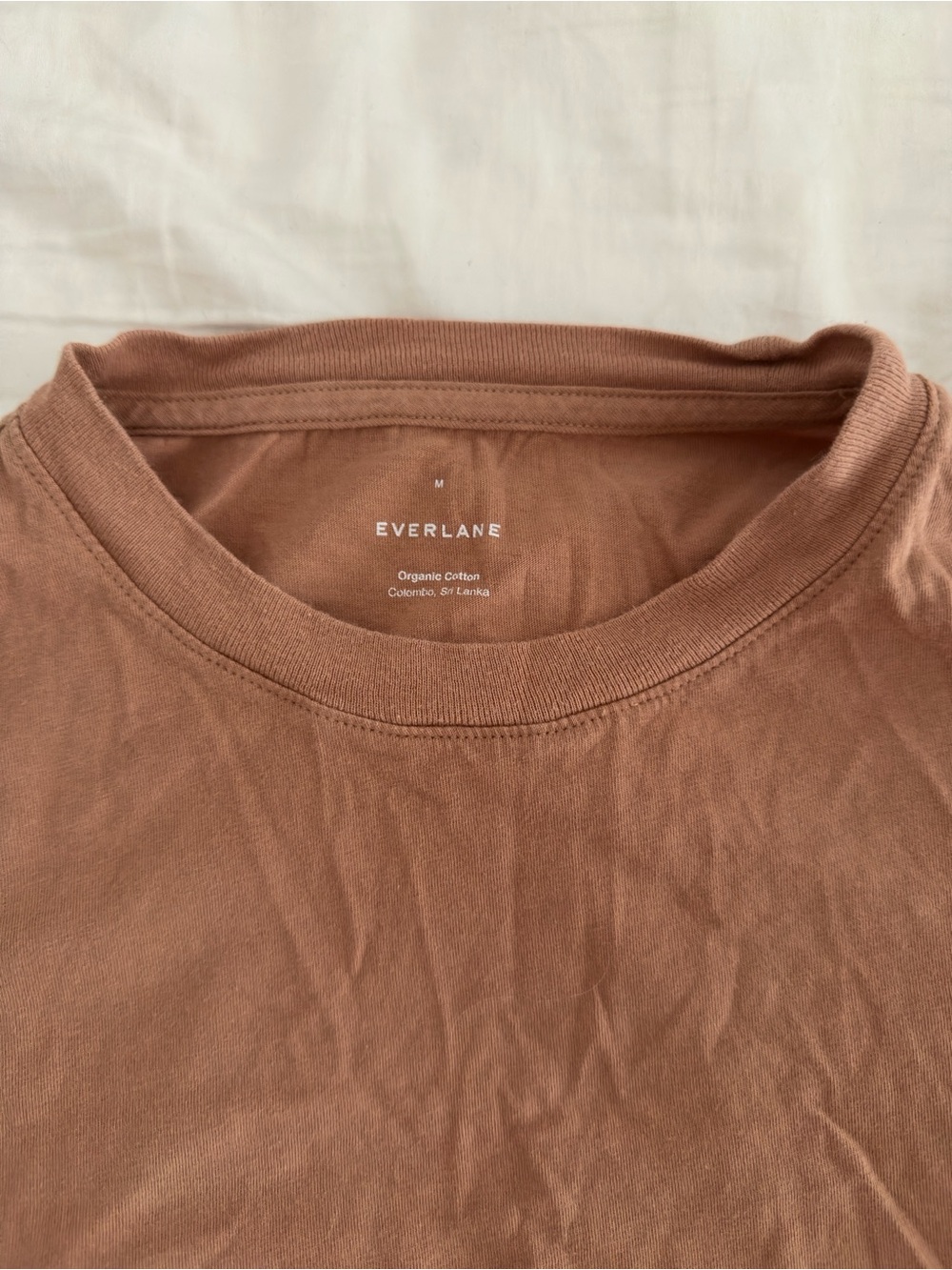 Everlane Brown Boxy Crop Crewneck T-Shirt — Brown